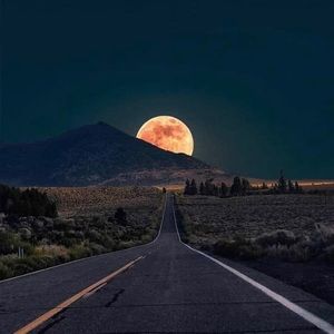 Meet your Posher, Annette